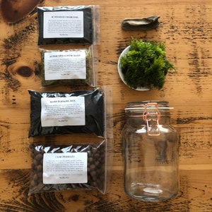 Small Starter Terrarium Kit • Easy Terrarium Kit With Vintage Style Glass Jar • Moss Terrarium Kit For Kids