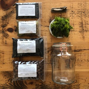 Bun Moss Terrarium Kit • Mossarium With Vintage Style Glass Jar • Cushion Moss Terrarium Kit