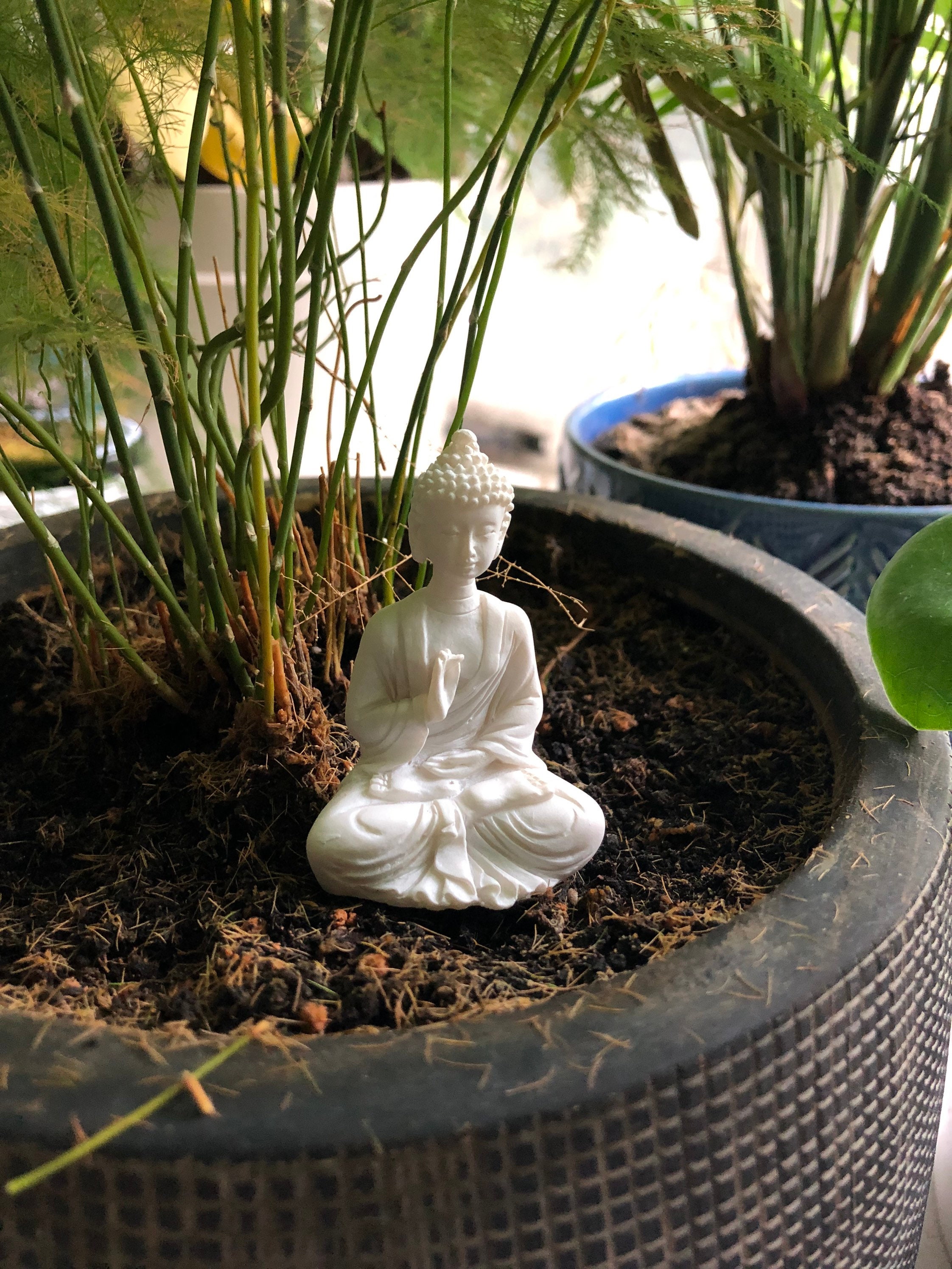 Goodwill Grand Uitgaand Tiny Buddha Figurine for Terrarium Mossarium Buddha Moss | Etsy