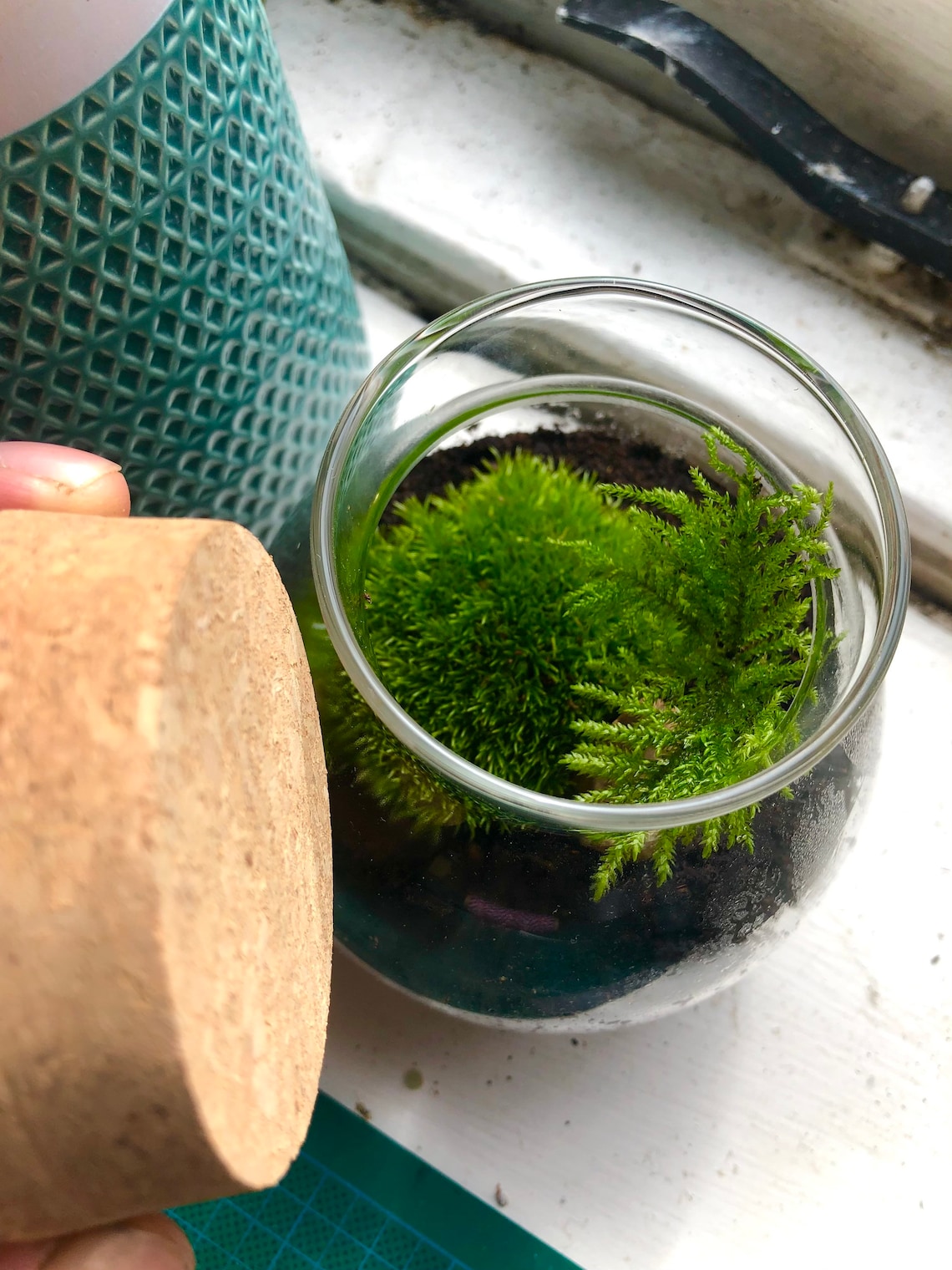Mini Terrarium With Cork Lid Moss Terrarium With Cork Etsy