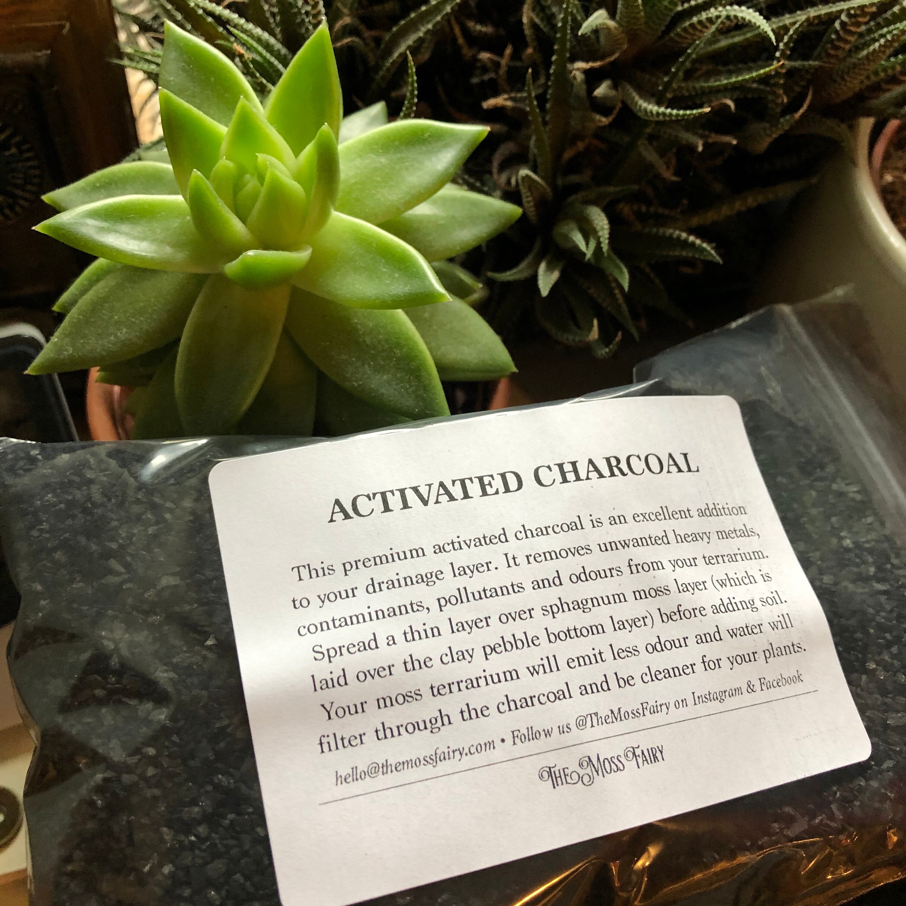 Activated Carbon for Terrariums Terrarium Charcoal for Etsy UK