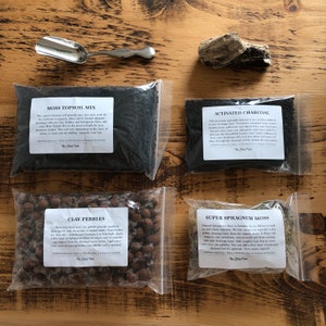 DIY Terrarium Starter Kit with Silver Soil Scoop