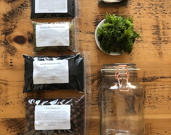 DIY Moss Terrarium Starter Kit: Topsoil, Charcoal, Driftwood