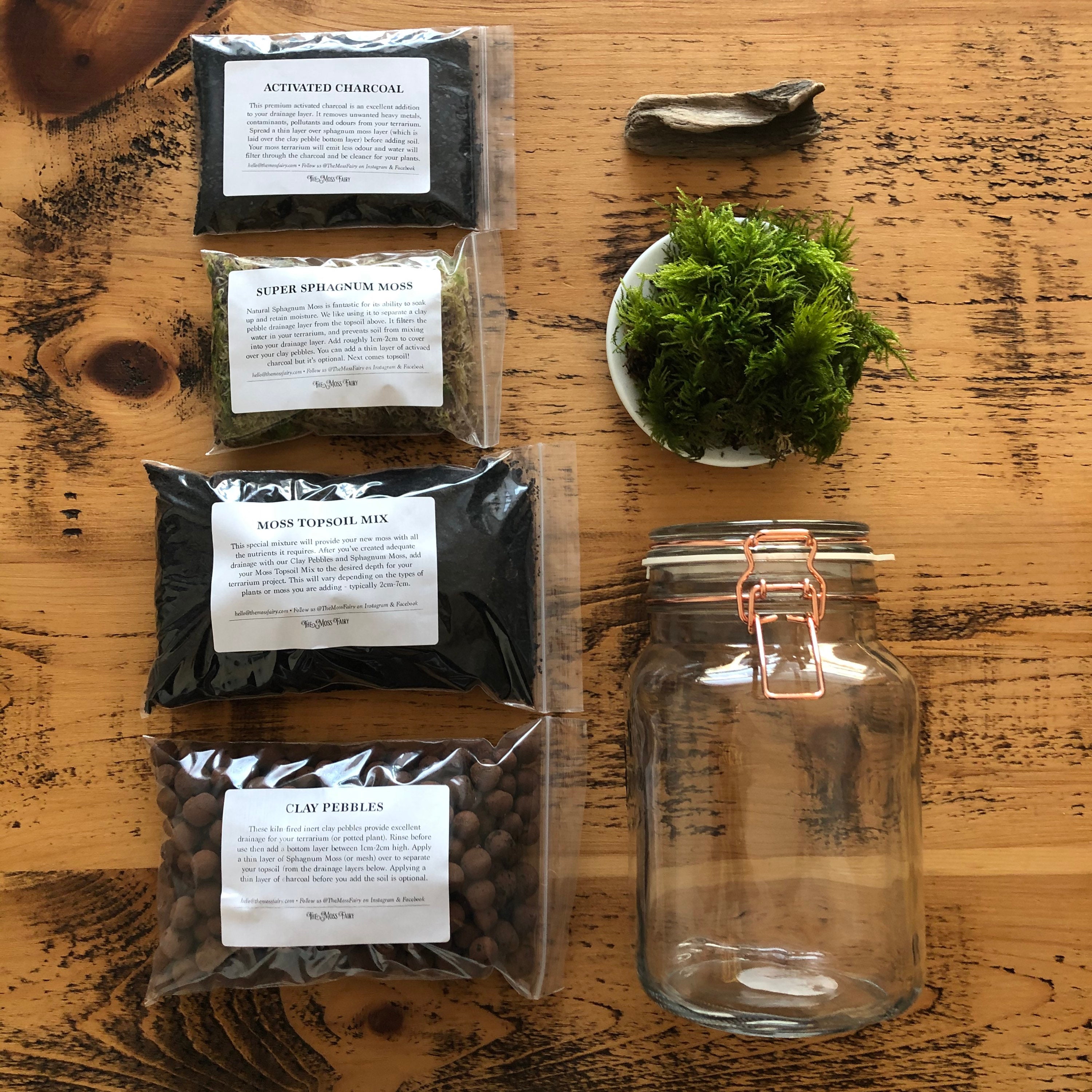 Small Starter Terrarium Kit Easy Terrarium Kit With Vintage Etsy