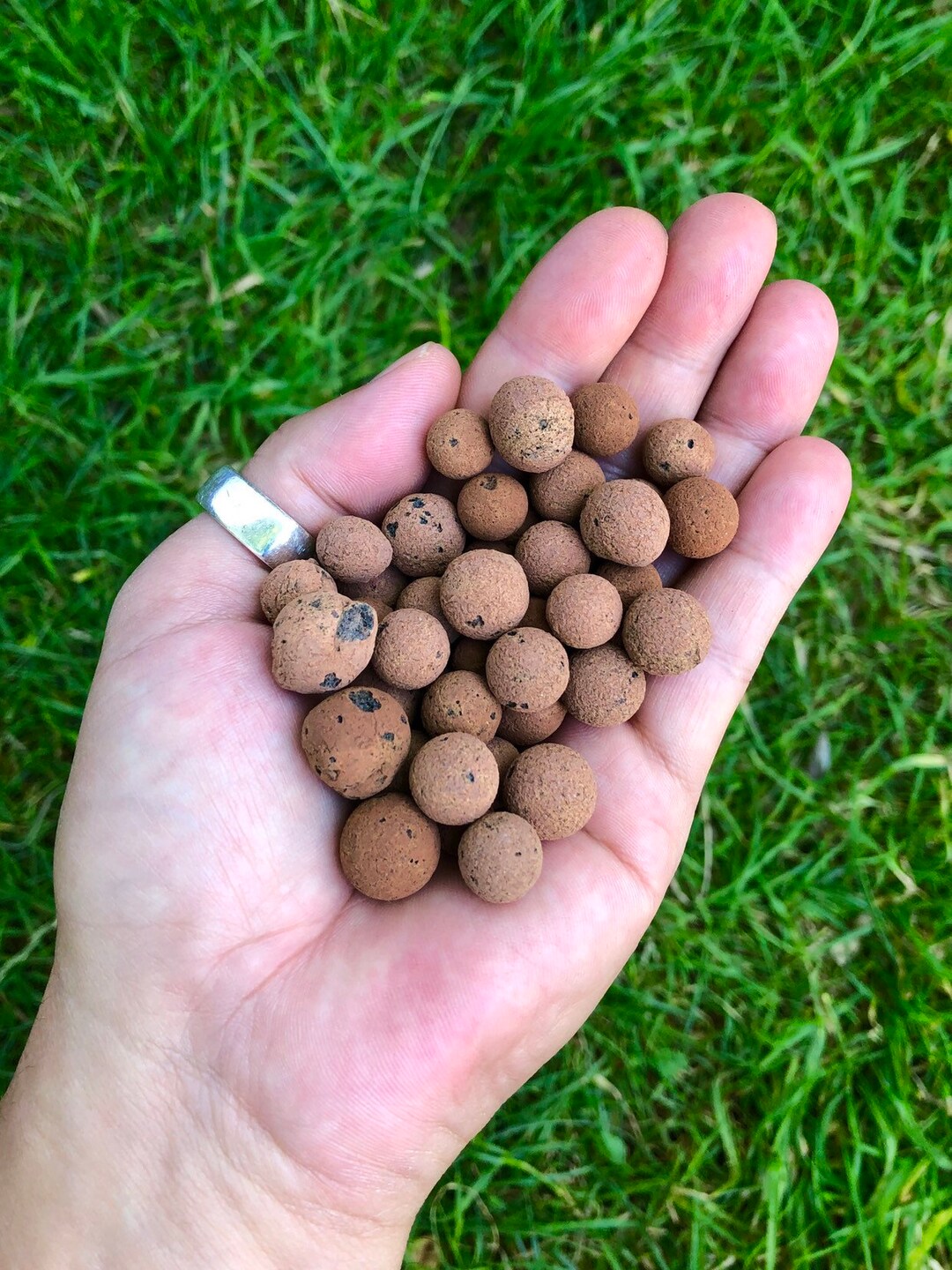 Natural Clay Pebbles for Planter Drainage Terrarium Clay Pebbles