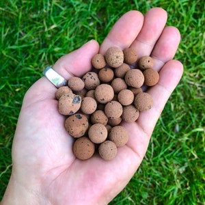 Terrarium Clay Pebbles: Natural Planter Drainage for Succulents & Moss Gardens