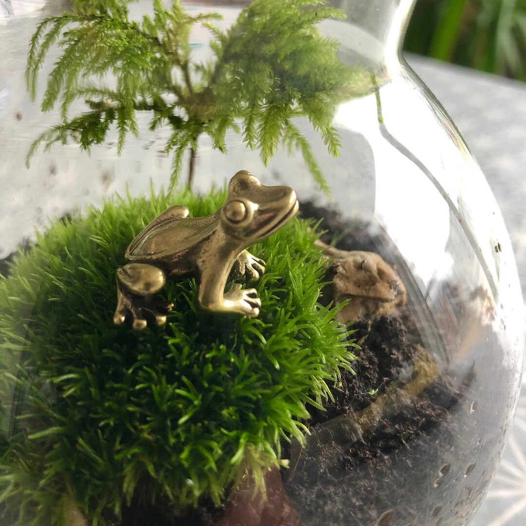 Grenouille miniature sculpture figurine réaliste : accessoire animal