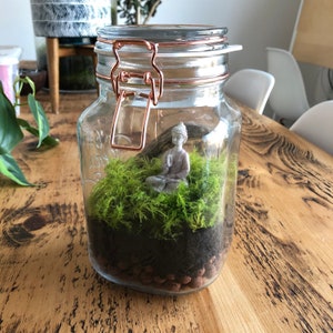 Small Starter Terrarium Kit • Build Your Own Moss Terrarium • Terrarium Essentials