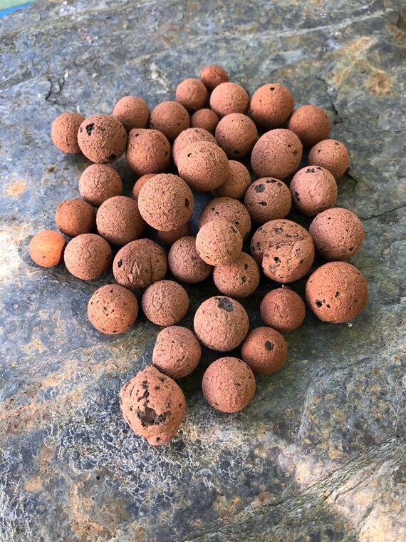 Terrarium Clay Pebbles Clay Pebble Planter Drainage Inert Etsy