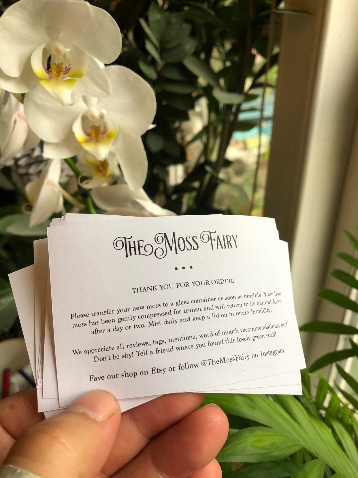 Moss Top Dressing for House Plants Terrariums Bonsai Etsy Australia