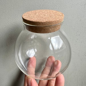 Round Glass Terrarium With Cork Lid • Small Glass Round Terrarium Container