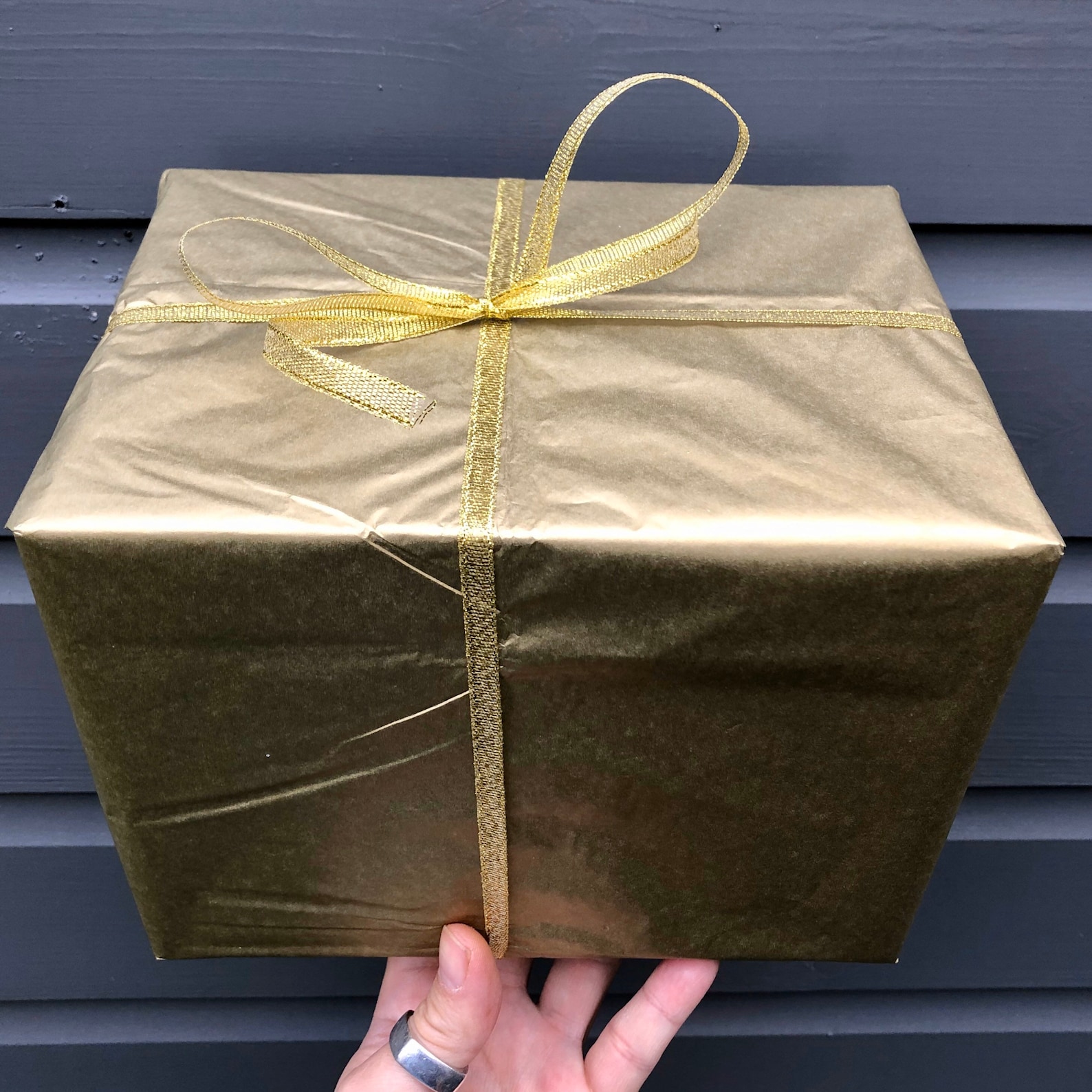 Mini Terrarium With Cork Lid Moss Terrarium With Cork Stopper live Bun