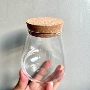 Teardrop Glass Terrarium With Cork Lid • Small Glass Terrarium Container