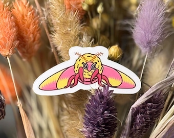 Rosy Maple Moth Vinyl Aufkleber