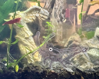 Shrimp Small Clear Vinyl Sticker Neocaridina