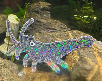 Shrimp Medium Chunky Vinyl Glitter Sticker Neocaridina