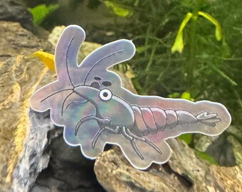 Shrimp Small Holographic Vinyl Sticker Neocaridina