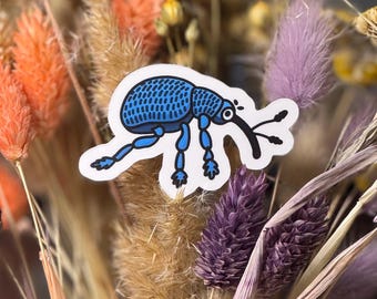 Weevil Small Vinyl Sticker