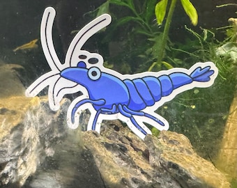 Shrimp Medium Blue "Dream" Vinyl Sticker Neocaridina