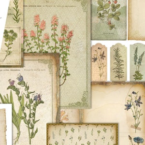 Aromatic Herbs Junk Journal Kit, Junk Journal Supplies, Junk Journal Printables, Junk Journal Ephemera, DIY Kit, Digital Journal Kit 002263 image 8