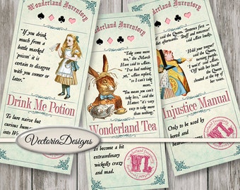 Alice in Wonderland Inventory Labels color Printable Alice in Wonderland Labels Digital Download Instant Download digital sheet - VDAPAL1455