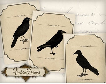 Black Bird Labels vintage printable images instant download digital collage sheet 000535