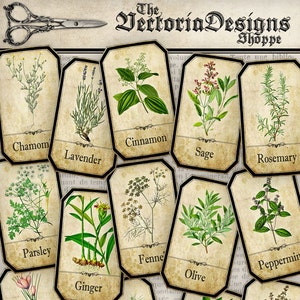Herbs Apothecary Labels, Printable Labels, Spice Jar Labels, Herb Labels, Printable Images, Digital Collage Sheets, Herb Decoration 000612 image 1