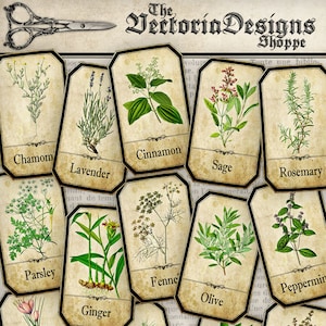 Herbs Apothecary Labels, Printable Labels, Spice Jar Labels, Herb Labels, Printable Images, Digital Collage Sheets, Herb Decoration 000612 image 1