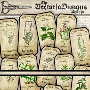 Herbal Apothecary Labels, Apothecary Bottle Labels, Spice Jar Labels, Herbal Labels, Digital Images, Apothecary Graphics, Potion 000519 image 1