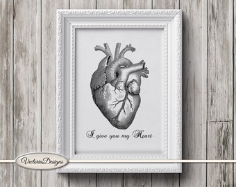 8x10 Pitter Patter Anatomical Heart Print