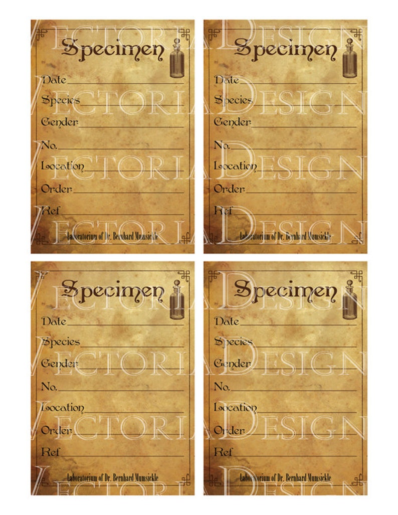 steampunk scientist specimen labels 5 x 35 inch printable etsy
