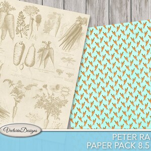 Peter Rabbit Paper Pack Junk Journal Pages Printable 8.5 X 11 Inch ...