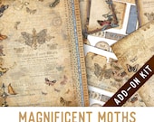 Article de cette boutique