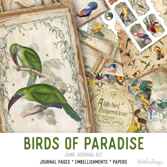 Birds of Paradise Junk Journal Kit - Printable Pages for Crafting - 002339