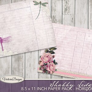 Puede incluir: Un paquete de papel digital con un dise&ntilde;o shabby chic con rosas rosas, una lib&eacute;lula y un borde de encaje rosa y blanco. El paquete de papel mide 8,5 x 11 pulgadas y se titula "Shabby Ledgers - Horizontal".