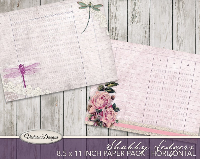 Puede incluir: Un paquete de papel digital con un dise&ntilde;o shabby chic con rosas rosas, una lib&eacute;lula y un borde de encaje rosa y blanco. El paquete de papel mide 8,5 x 11 pulgadas y se titula "Shabby Ledgers - Horizontal".
