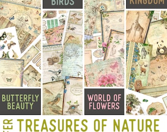 Treasures of Nature Offer, Nature Craft Printables, Printable Papers, Junk Journal kit, Spring Embellishments, Craft Kits - 002929