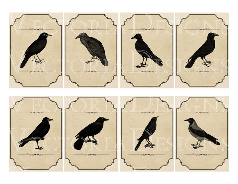Black Bird Labels Vintage Printable Images Instant Download - Etsy