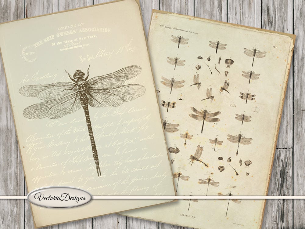 bujo journaling cards journal embellishments tabs Dragonfly digital Ephemera for junkjournas tuck spots tags pockets US Letter size
