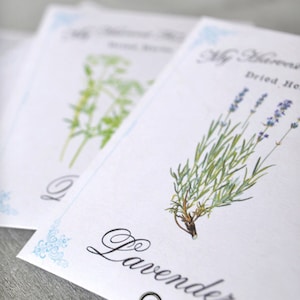 Puede incluir: Dos tarjetas blancas con acentos azules, que presentan ilustraciones de hierbas secas. La tarjeta superior muestra una rama de lavanda con el texto "Lavender" escrito en cursiva. La tarjeta inferior muestra una rama de eneldo con el texto "Dill" escrito en cursiva. Las tarjetas son parte de un conjunto de hierbas secas.