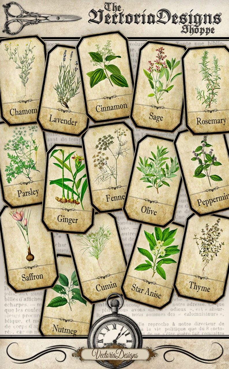 Herbs Apothecary Labels, Printable Labels, Spice Jar Labels, Herb Labels, Printable Images, Digital Collage Sheets, Herb Decoration 000612 image 1