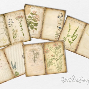 Aromatic Herbs Junk Journal Kit, Junk Journal Supplies, Junk Journal Printables, Junk Journal Ephemera, DIY Kit, Digital Journal Kit 002263 image 4