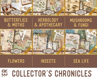 Collector's Chronicles Offer - Nature Junk Journal Printables - 003989
