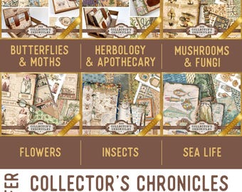 Collector's Chronicles Offer - Nature Junk Journal Printables - 003989