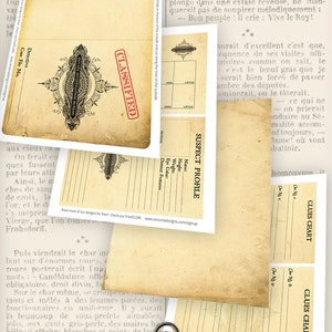 Detective Party Supplies, Private Investigator Case File, Printable Paper, Scrapbook Paper, Case File Digital, Clue Party Favors 001115 image 3