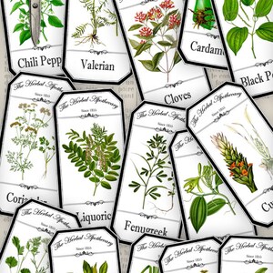 Herbal Apothecary Labels printable save ink paper craft art hobby crafting scrapbooking instant download digital collage sheet 000912 image 2