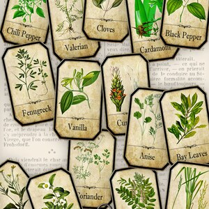 Herbs Apothecary Labels, Printable Labels, Spice Jar Labels, Herb Labels, Printable Images, Digital Collage Sheets, Herb Decoration 000612 image 2