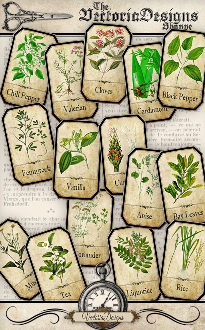 Herbs Apothecary Labels, Printable Labels, Spice Jar Labels, Herb Labels, Printable Images, Digital Collage Sheets, Herb Decoration 000612 image 2