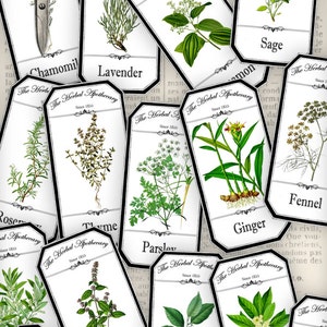 Herbal Apothecary Labels printable save ink paper craft art hobby crafting scrapbooking instant download digital collage sheet 000912 image 3