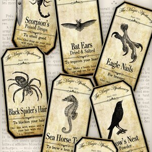 Halloween Animal Labels, Magic Tricks Labels, Halloween Collage Sheet, Bottle Halloween Labels, Halloween Decoration, Apothecary 000356 image 3